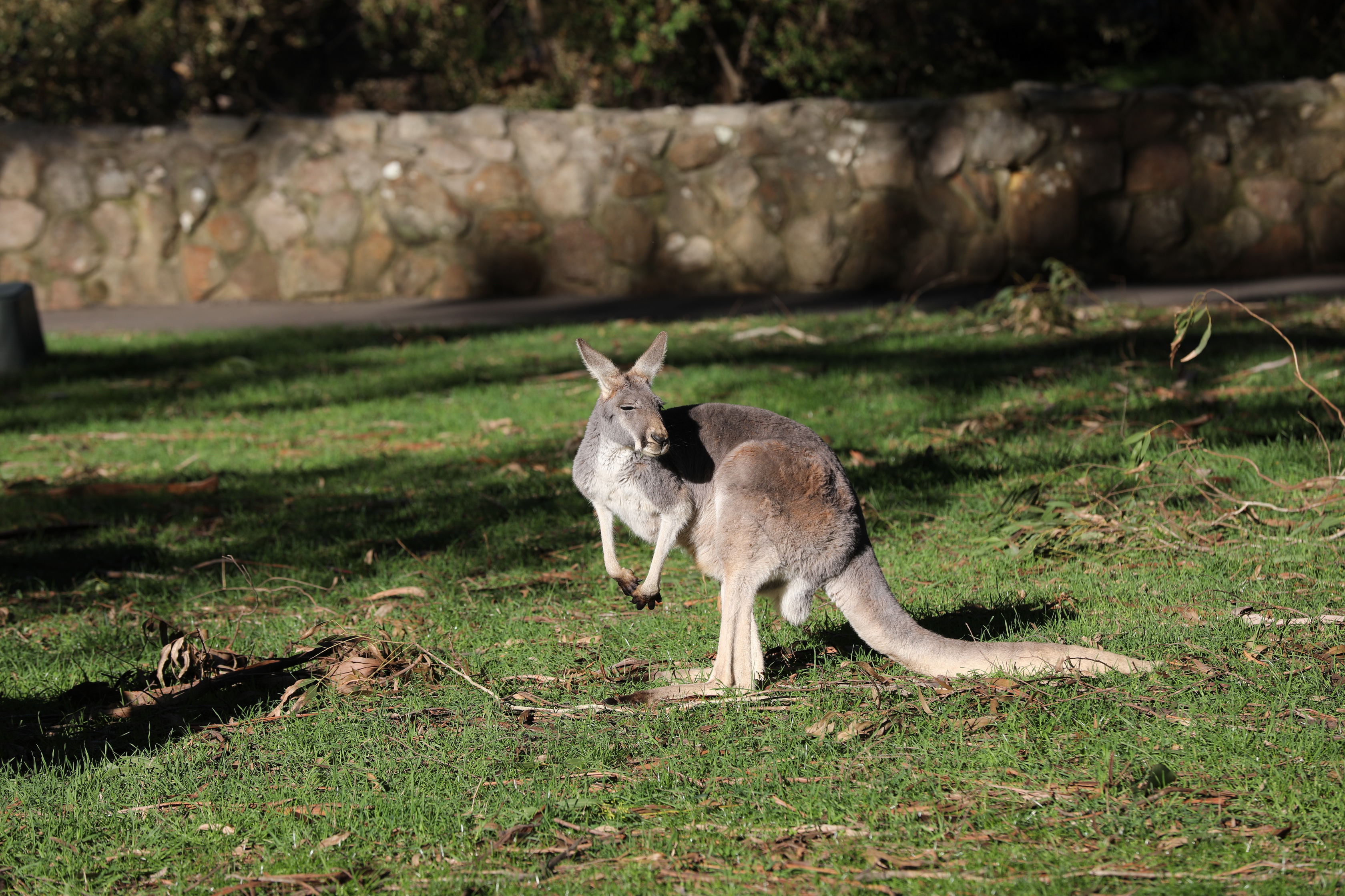 2019 07 19 15 41 45 Canon EOS 5D Mark IV 0046